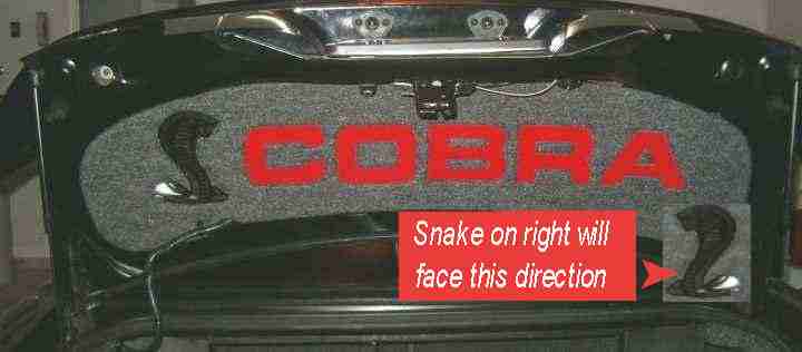 Click on Picture to Enlarge. 1999-2004 Ford Mustang Cobra. Plexi Mirror Cobra letters with SNAKE logo on either side of letters