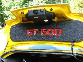 Click on Picture to Enlarge.   2007-2009 Ford Shelby Cobra GT500 design. Sunk plexi Mirror edged letters , paint to match car.